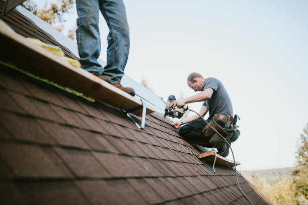 Best Roof Gutter Cleaning  in Garrett, TX